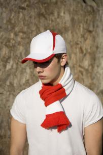 Sciarpe result sciarpa team