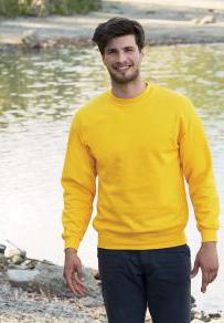 Felpe fruit of the loom felpa set-in